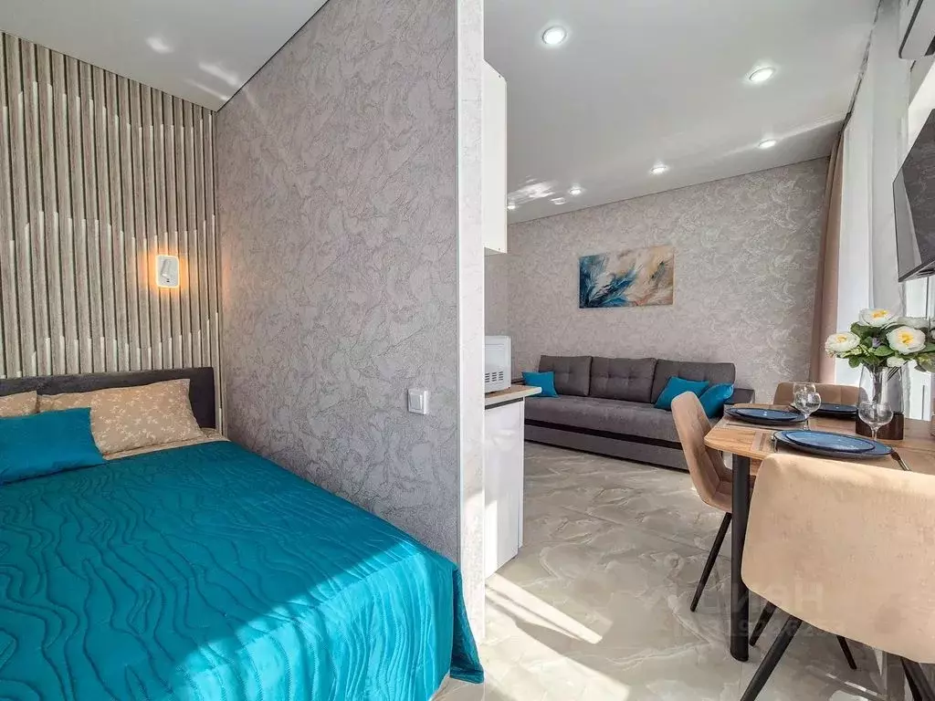 Студия Краснодарский край, Сочи ул. Искры, 88к6 (28.0 м) - Фото 0