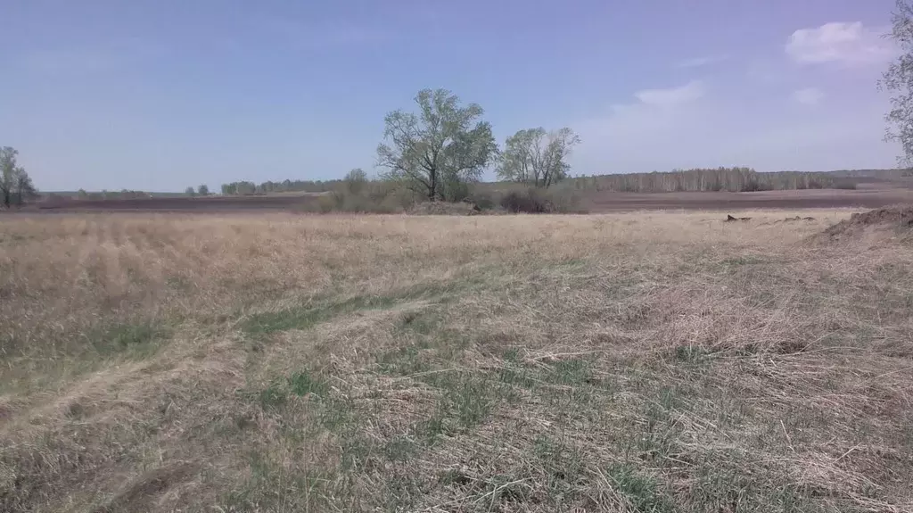 Участок в Свердловская область, Богданович городской округ, с. Щипачи  ... - Фото 0