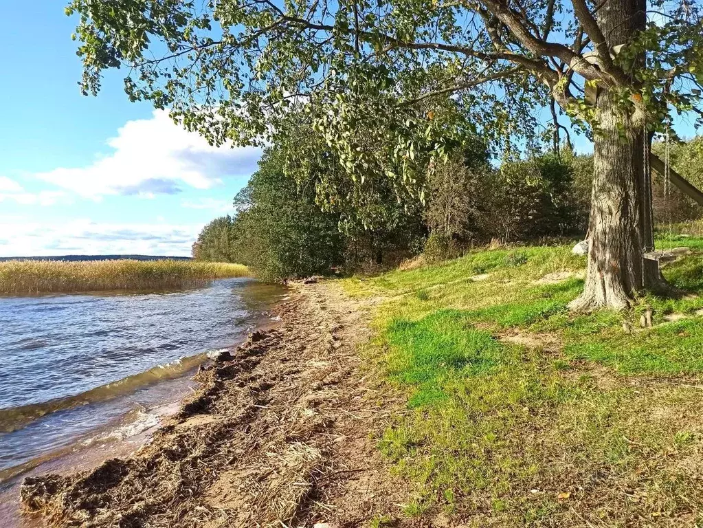 Участок в Ленинградская область, Приозерский район, Плодовское с/пос, ... - Фото 2