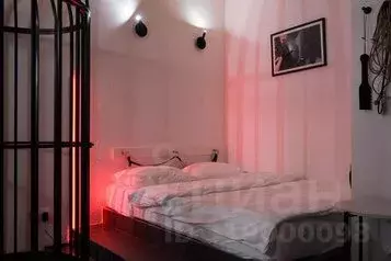 1-к кв. Санкт-Петербург Невский просп., 111/3 (25.0 м) - Фото 0