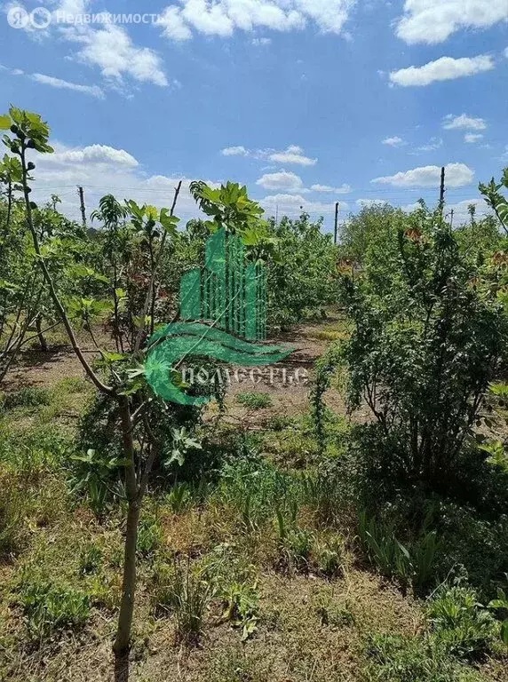 Дом в Джанкойский район, Медведевское сельское поселение, село ... - Фото 1