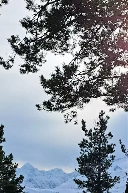 Студия Карачаево-Черкесия, Зеленчукский район, с. Архыз, пос. Романтик ... - Фото 2