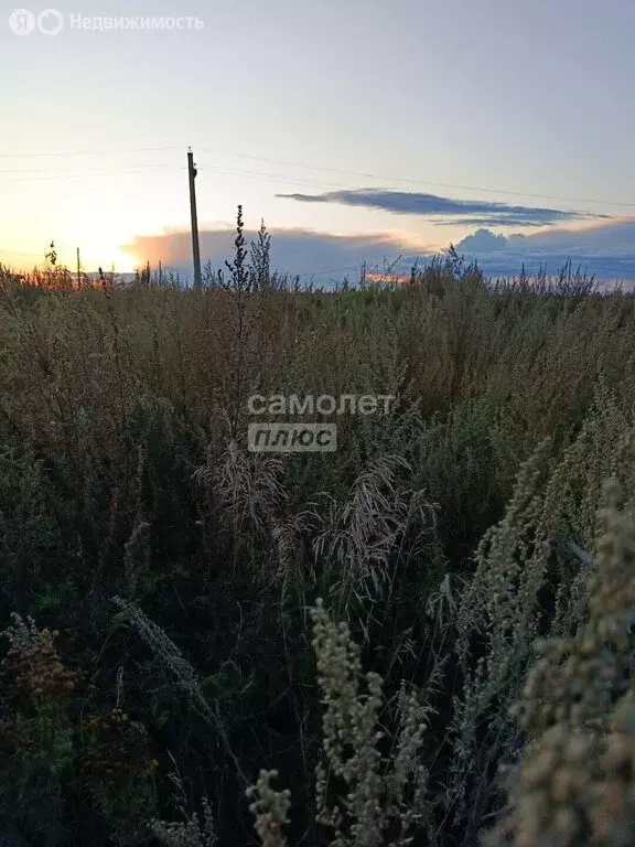 Участок в Челябинск, улица Панфиловцев (9 м) - Фото 2