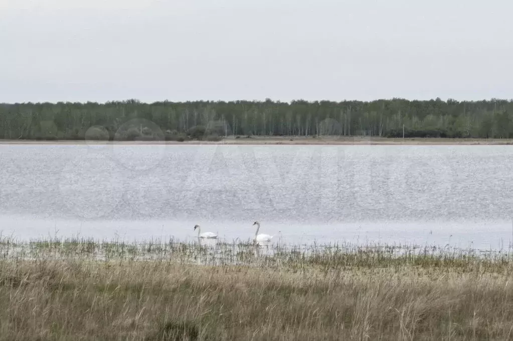 Участок 8 сот. (СНТ, ДНП) - Фото 1