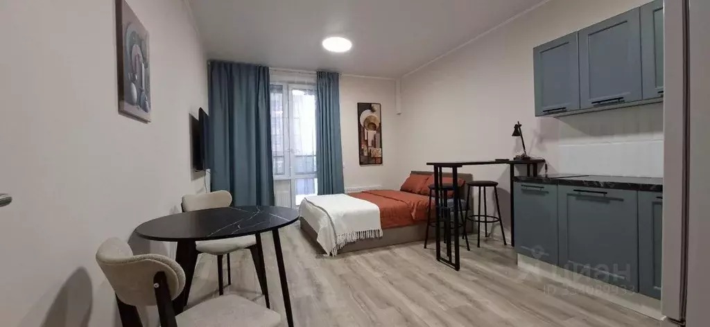 Студия Московская область, Одинцово ул. Каштановая, 10к1 (28.0 м) - Фото 2