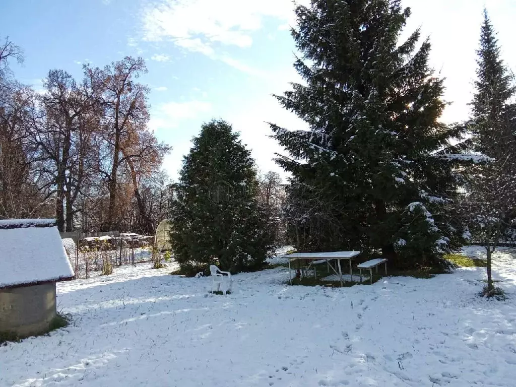 Продается дом в с. Остров - Фото 2