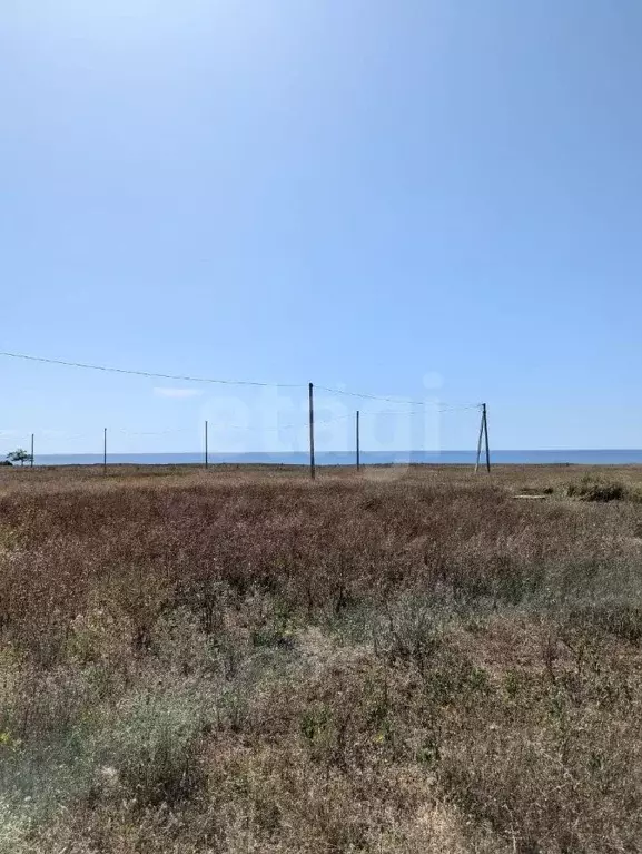 Участок в Крым, Черноморский район, с. Окуневка  (6.0 сот.) - Фото 0