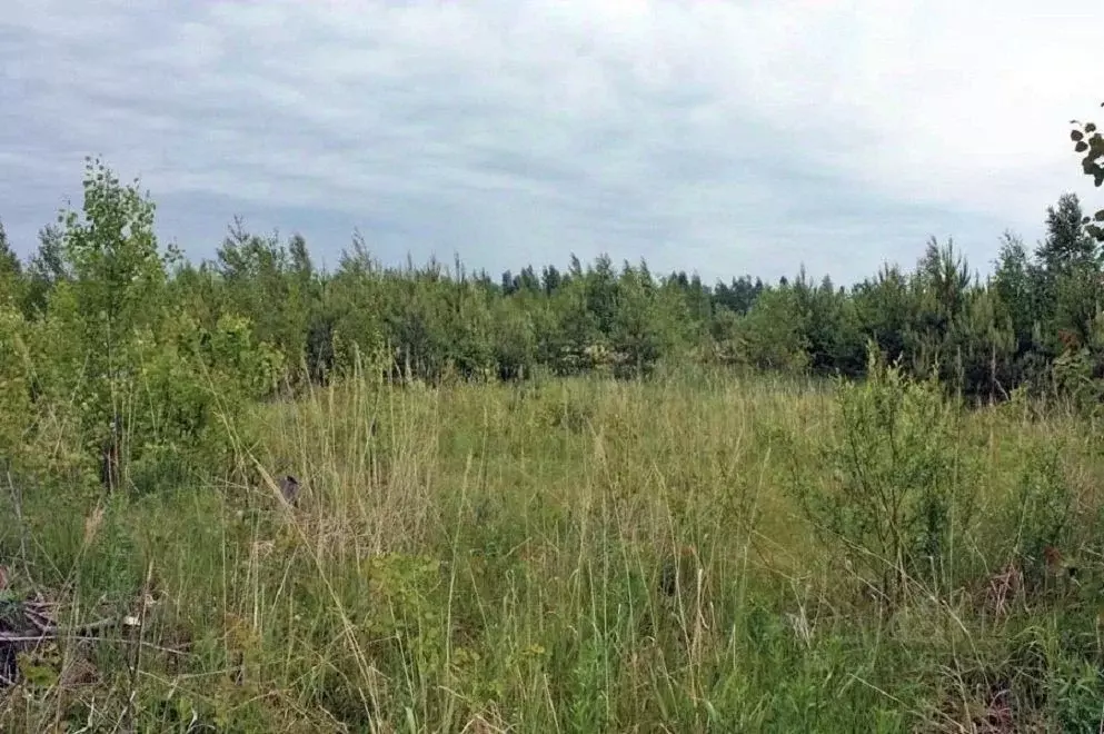 Участок в Ленинградская область, Всеволожский район, Рахьинское ... - Фото 0