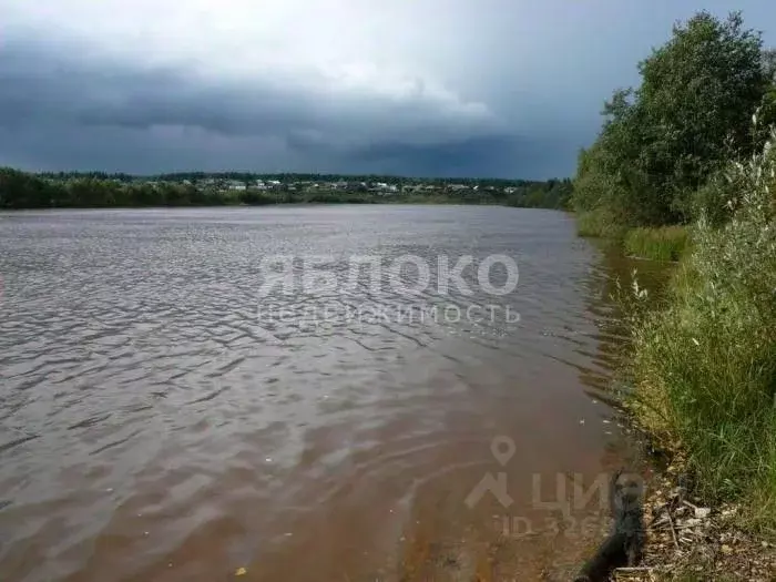 Участок в Пермский край, Березники муниципальный округ, д. Белая Пашня ... - Фото 2