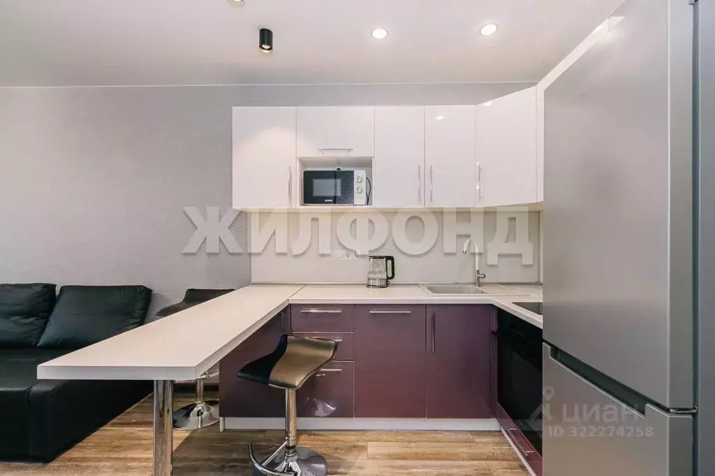 1-к кв. Новосибирская область, Новосибирск Покатная ул., 130/1 (27.5 ... - Фото 2