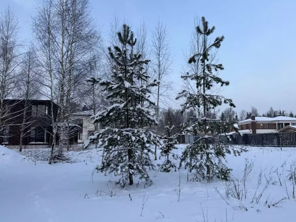 Участок в Москва Подолье СНТСН, ул. Центральная (5.95 сот.) - Фото 1