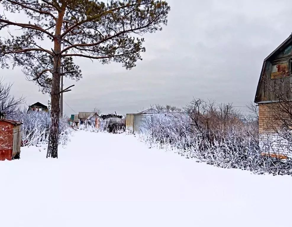 Участок в Оренбургская область, Оренбургский район, Экспериментальный ... - Фото 1