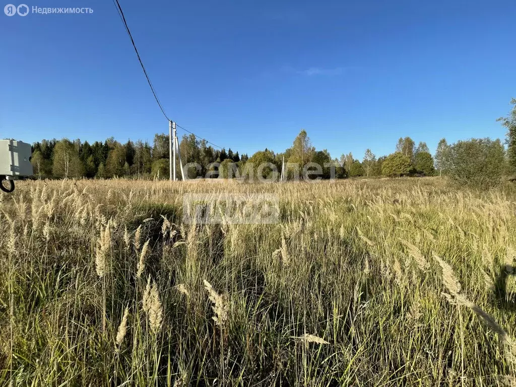 Участок в Московская область, городской округ Солнечногорск, деревня ... - Фото 0