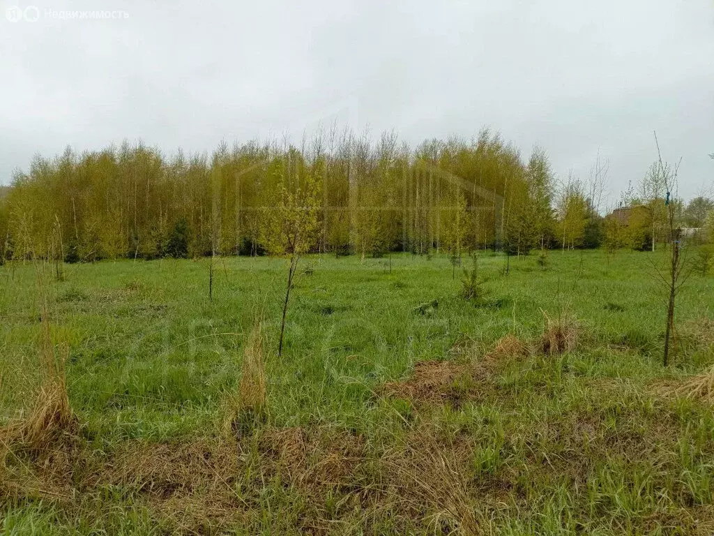Участок в Сергиево-Посадский городской округ, деревня Бобошино (12 м) - Фото 1