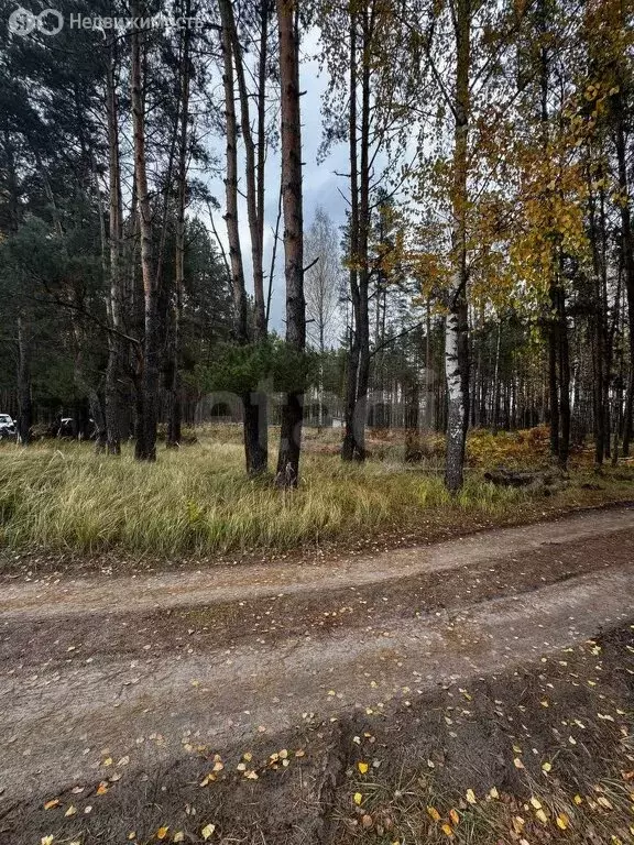 Участок в Свень, Молодёжная улица (7.5 м) - Фото 1