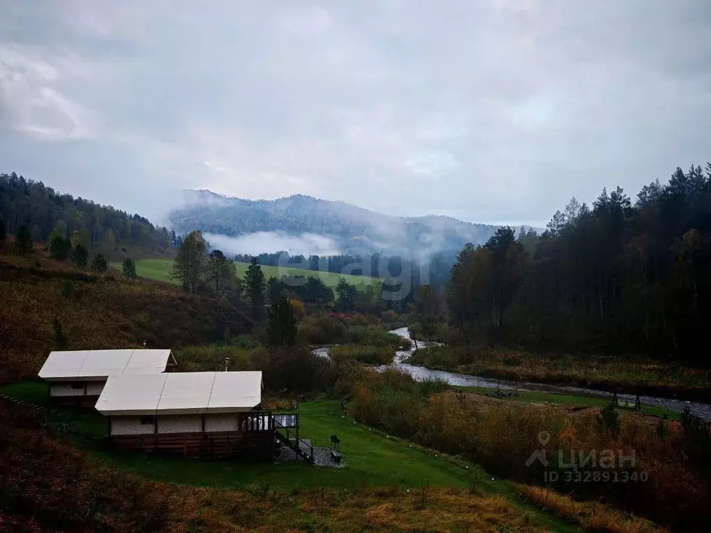 Участок в Алтай, Чемальский район, Узнезинское с/пос, с. Узнезя ул. ... - Фото 1