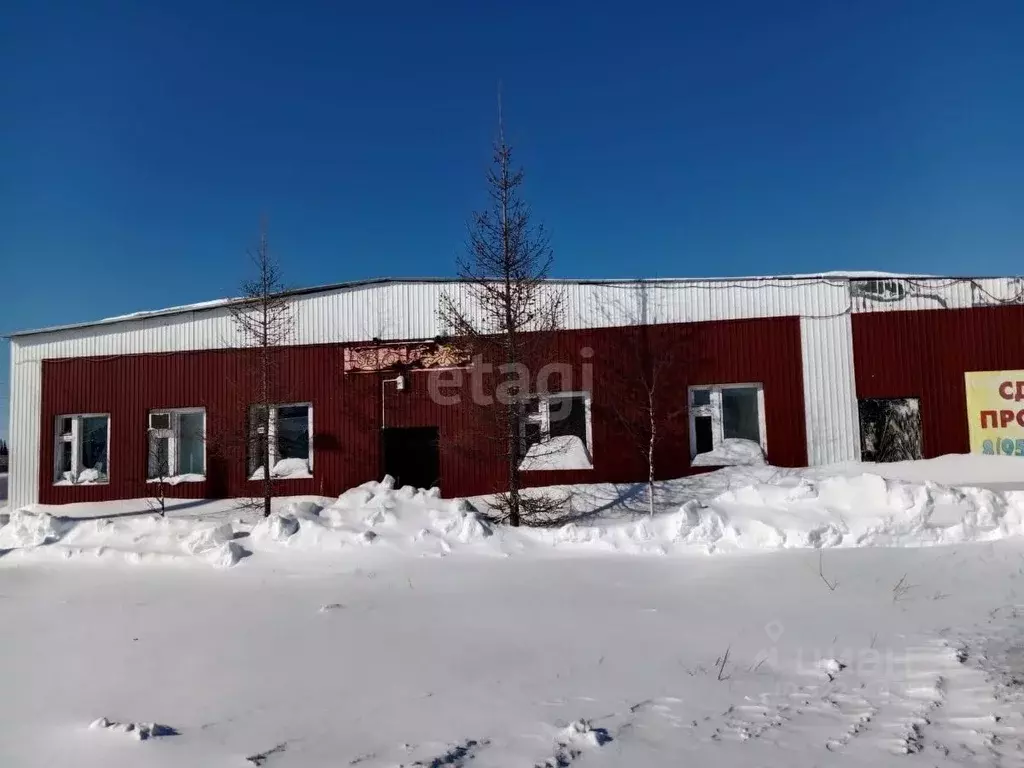 Помещение свободного назначения в Ямало-Ненецкий АО, Надымский район, ... - Фото 1