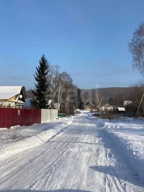 Участок в Пензенская область, Лунинский район, с. Большой Вьяс ... - Фото 1