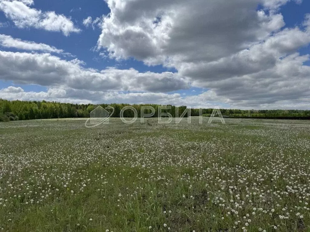 Участок в Тюменская область, Тюменский район, с. Кулига Транспортная ... - Фото 1