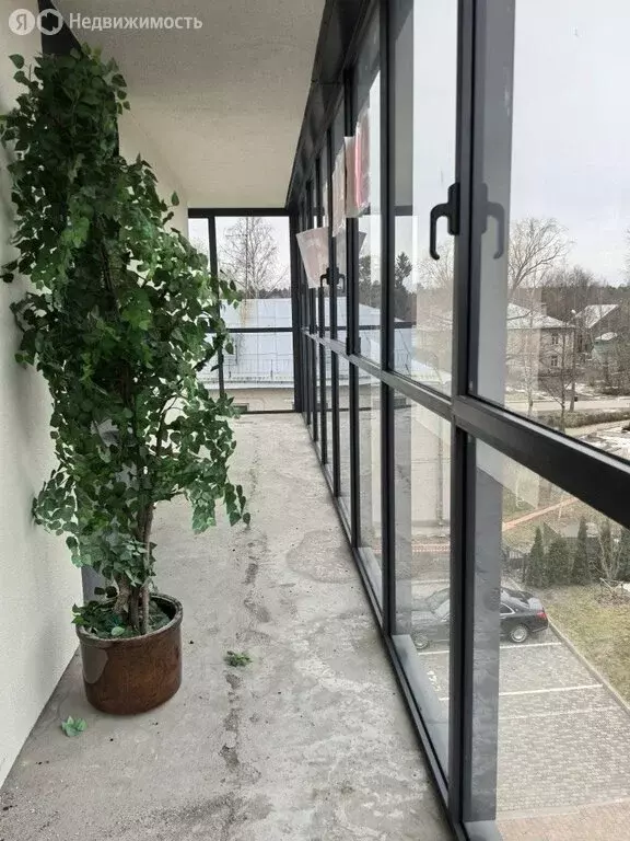 3-комнатная квартира: посёлок Лисий Нос, Ивановская улица, 10 (101 м) - Фото 1