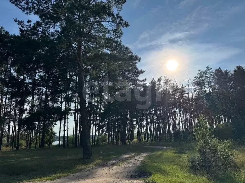 Участок в Брянская область, Брянск пос. Октябрьский, ул. Фадеева (10.0 ... - Фото 1