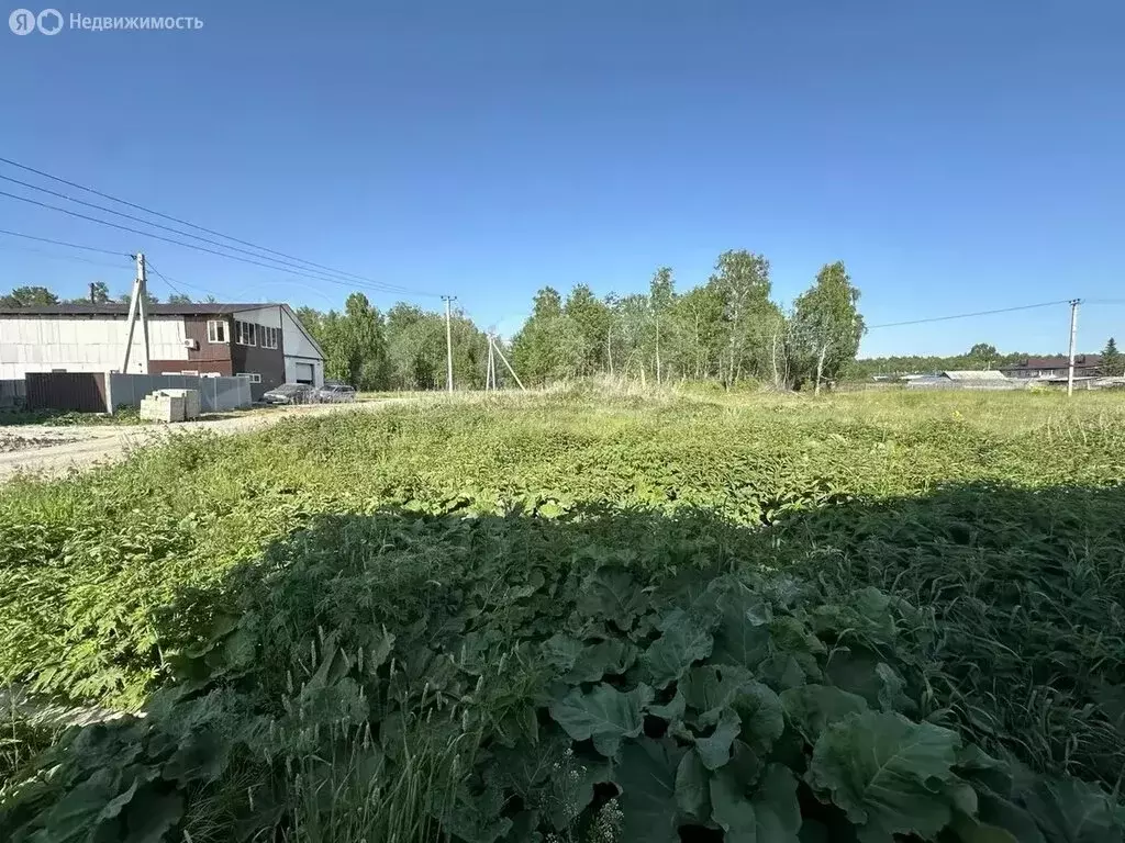 Участок в Тюменский район, село Успенка (12 м) - Фото 0