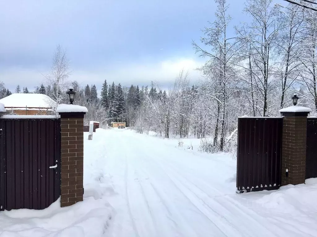 Участок, 12 сот., сельхоз (снт или днп) - Фото 0