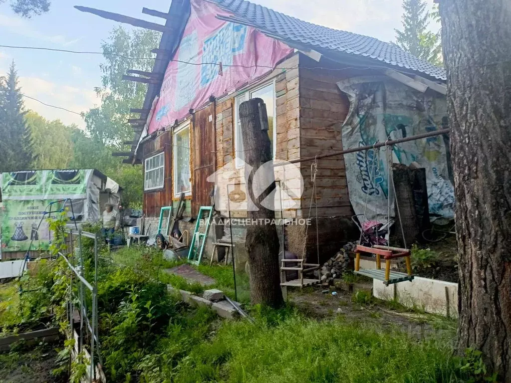 Дом в Новосибирская область, Новосибирск Сибиряк садовое товарищество, ... - Фото 1