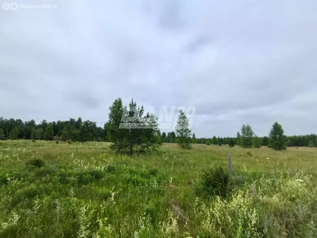 Участок в Челябинская область, Красноармейский муниципальный округ, ... - Фото 0