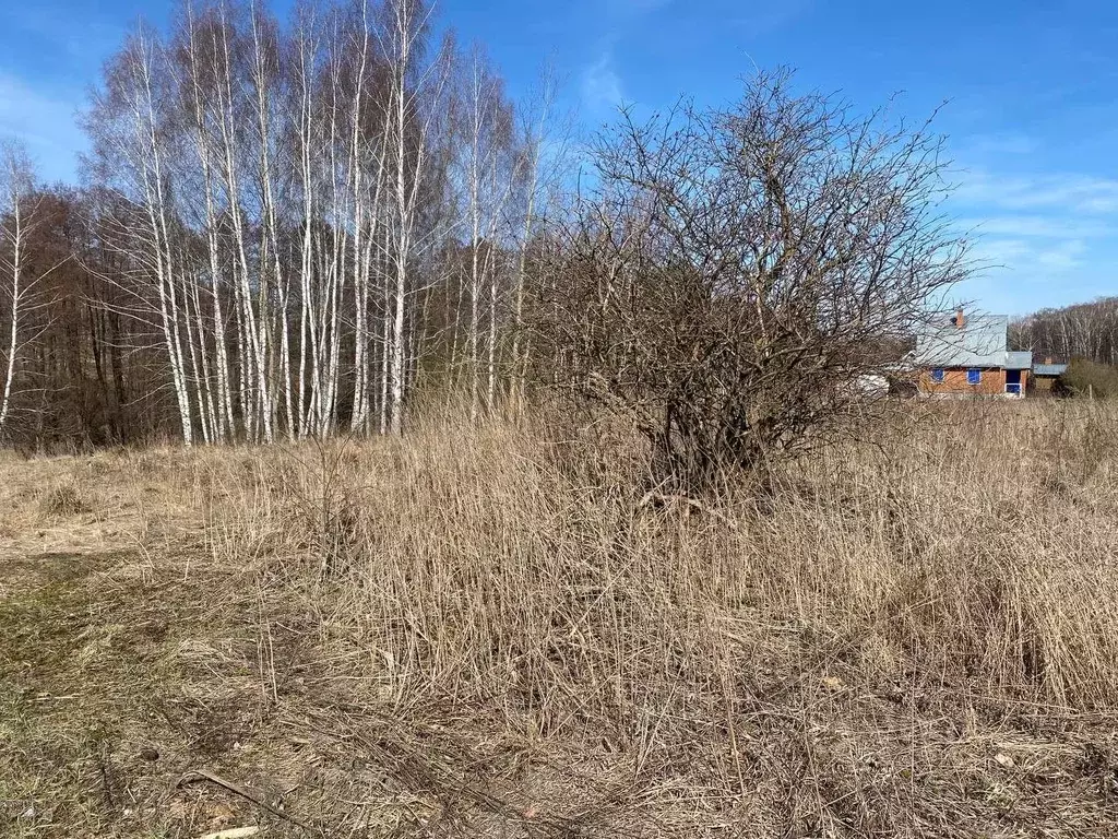 Участок в Московская область, Зарайск муниципальный округ, д. ... - Фото 0