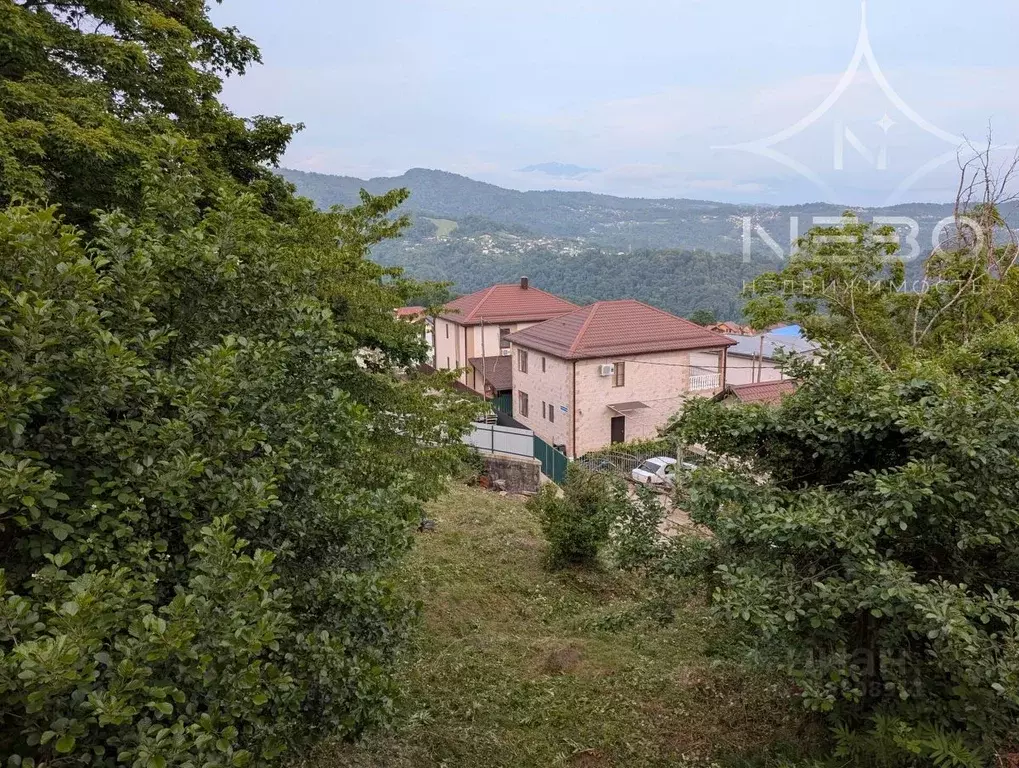 Участок в Краснодарский край, Сочи городской округ, с. Каштаны ул. ... - Фото 1