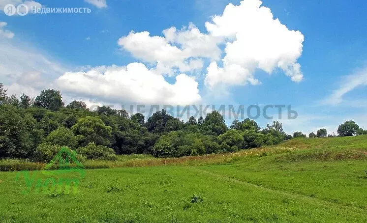 Участок в Раменский городской округ, деревня Каменное Тяжино, ... - Фото 1