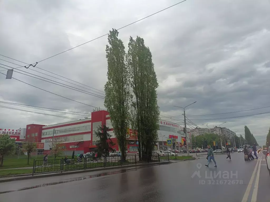 Торговая площадь в Курская область, Курск просп. Дружбы, 7 (67 м) - Фото 0