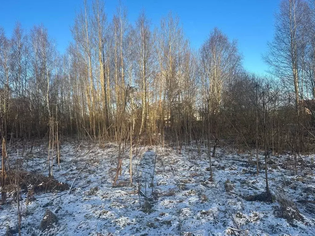 Участок в Московская область, Рузский муниципальный округ, д. Барынино ... - Фото 2