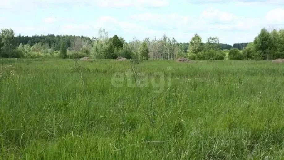 Участок в Ярославская область, Ярославский муниципальный округ, д. ... - Фото 2