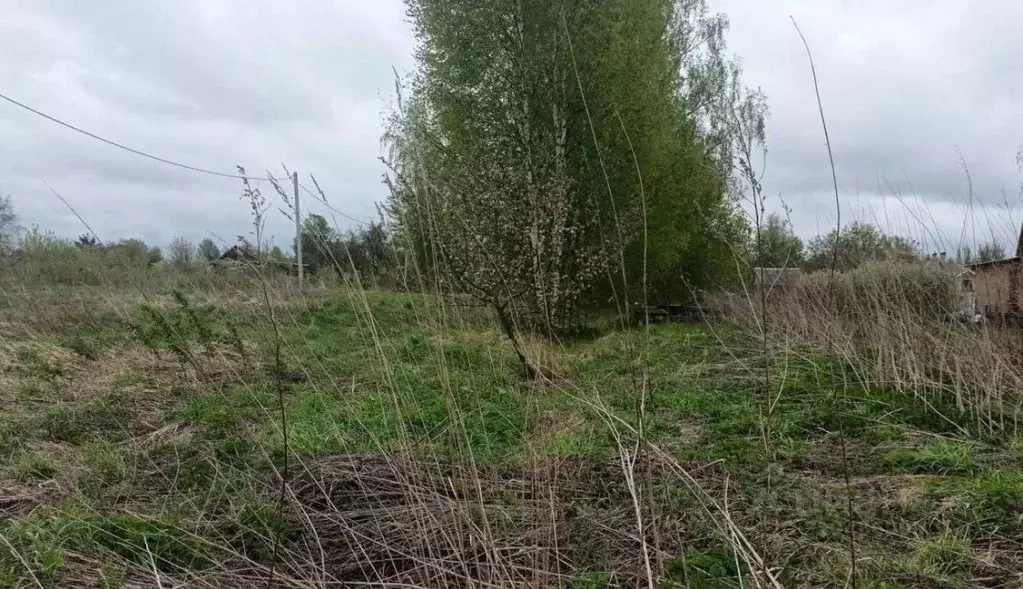 Участок в Московская область, Дмитровский муниципальный округ, д. ... - Фото 0