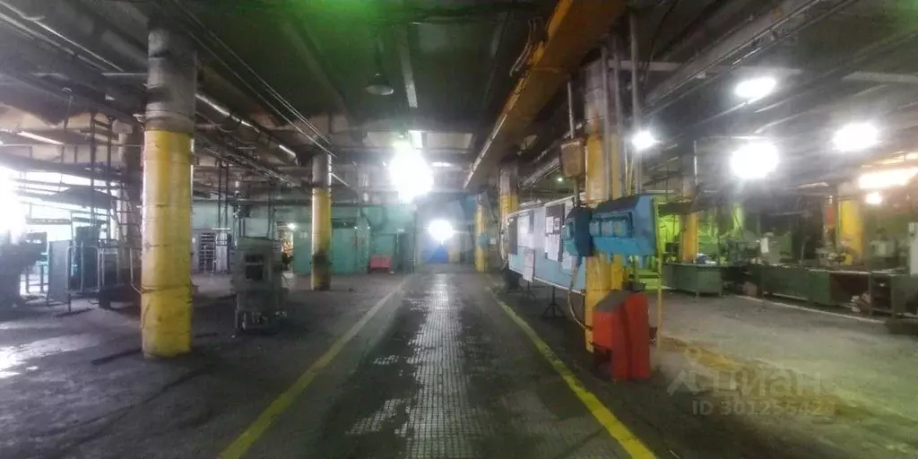 Производственное помещение в Московская область, Ногинск Богородский ... - Фото 1