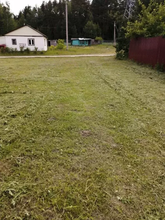 Участок в Московская область, Ступино городской округ, Ока-3 СНТ 43 ... - Фото 1