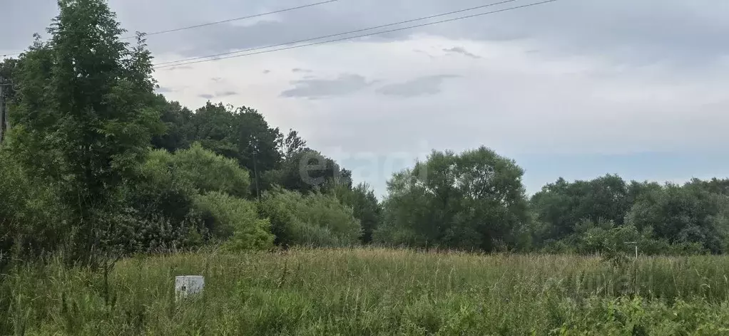 Участок в Калининградская область, Багратионовский муниципальный ... - Фото 2