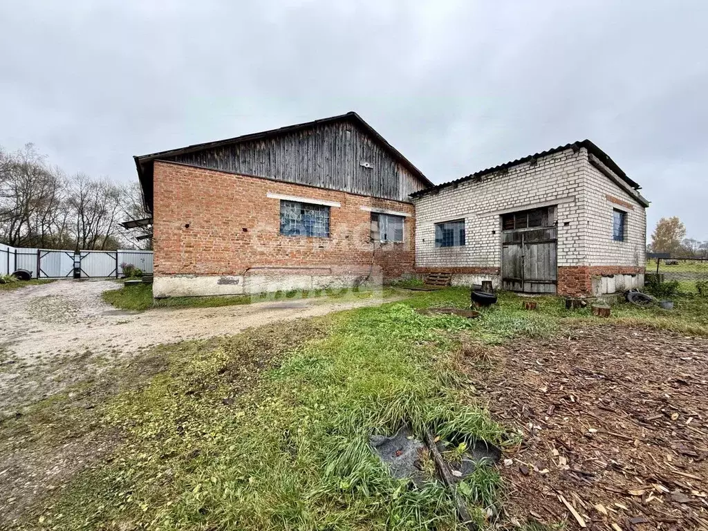 Помещение свободного назначения в Калужская область, Перемышльский ... - Фото 1