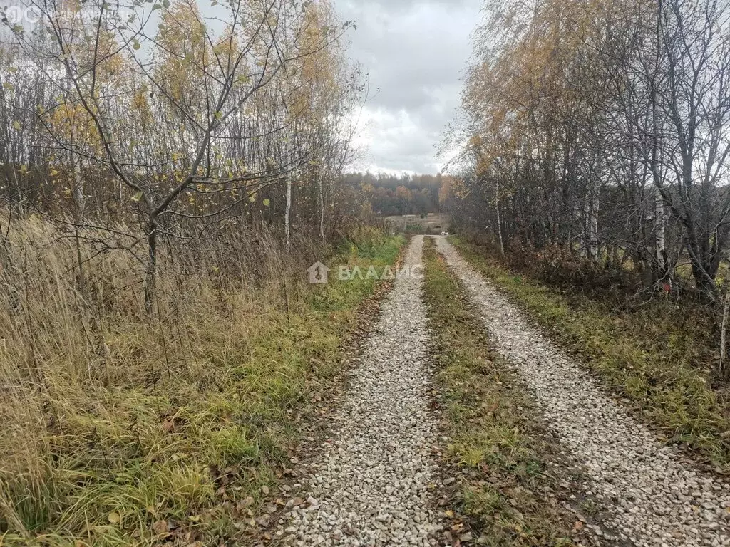 Участок в Суздальский район, село Новоалександрово (8 м) - Фото 1