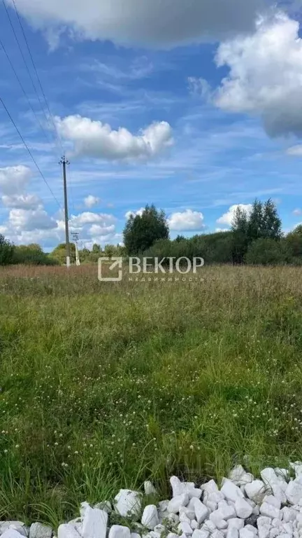 Участок в Костромская область, Красносельский район, Боровиковское ... - Фото 2