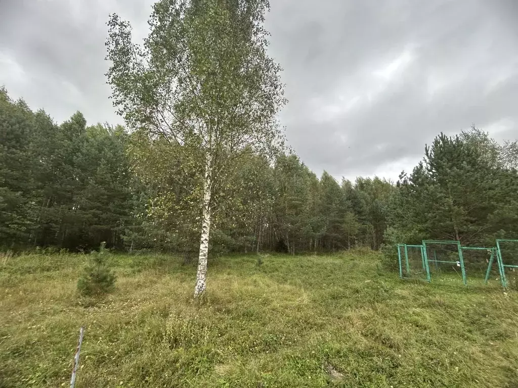 Участок в Ярославская область, Переславль-Залесский муниципальный ... - Фото 2