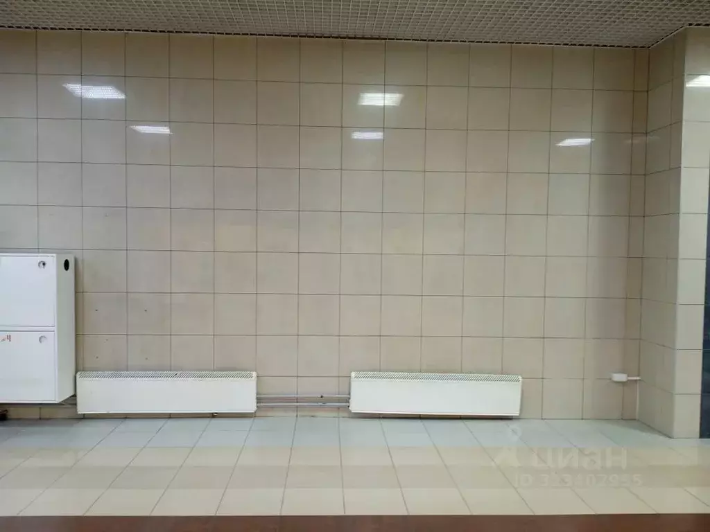 Торговая площадь в Челябинская область, Челябинск Салютная ул., 27 (8 ... - Фото 2