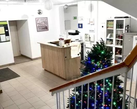 Студия Московская область, Люберцы городской округ, Красково пгт ул. ... - Фото 1