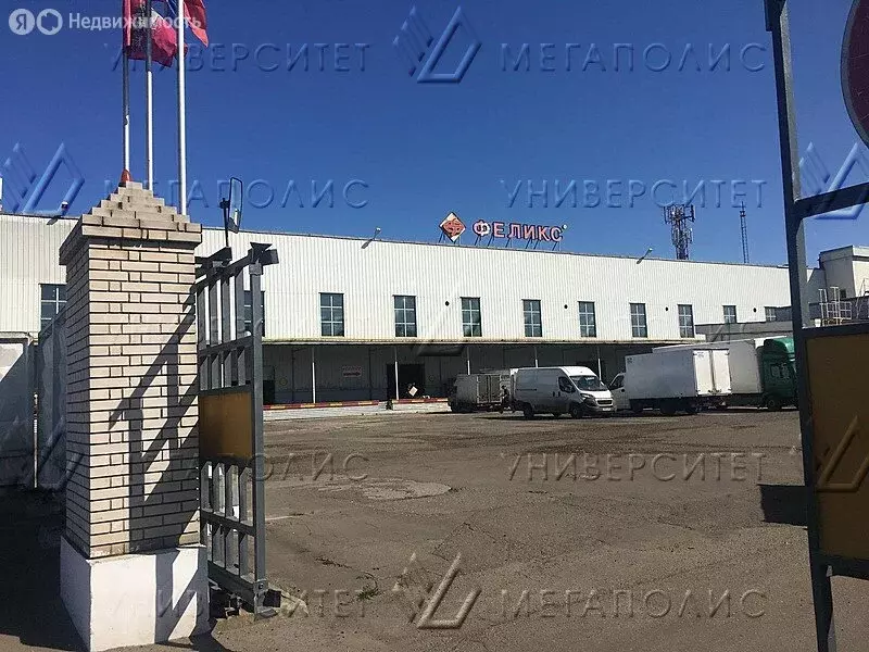 Помещение свободного назначения (242 м) - Фото 2