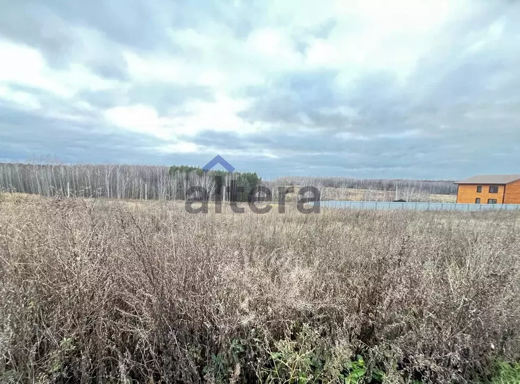 Участок в Татарстан, Высокогорское с/пос, д. Эстачи, Эстачи кп  (10.0 ... - Фото 1
