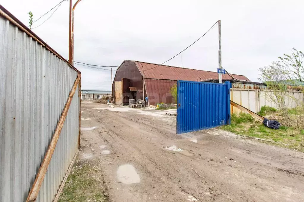 Склад в Тюменская область, Тобольск БСИ-1 тер., 1-й кв-л, 11с2‚8 (7838 ... - Фото 1