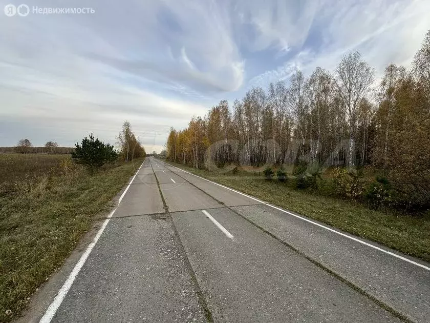 Участок в Нижнетавдинский район, деревня Малый Хутор (10 м) - Фото 0