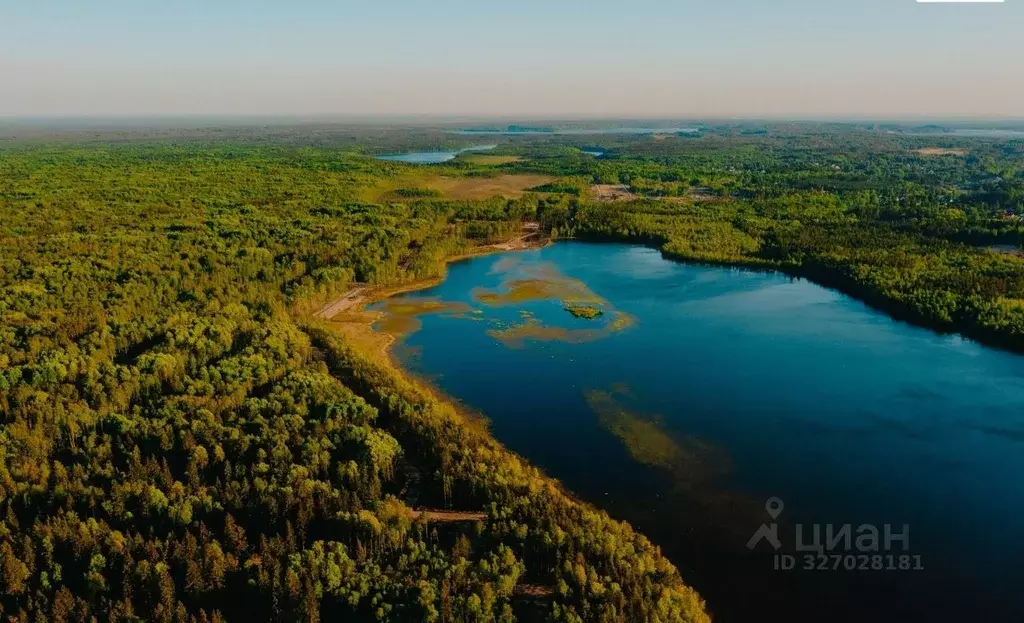 Участок в Ленинградская область, Всеволожский район, Токсовское ... - Фото 2